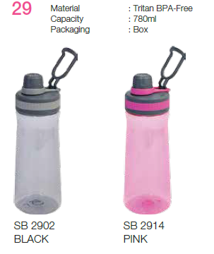 SB29
