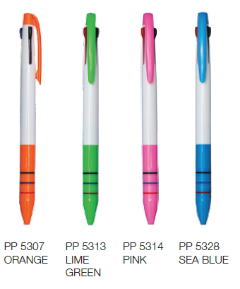 PP53